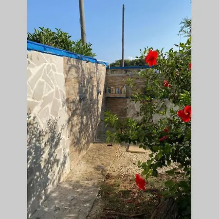 Villa Palma A 80m Dal Mare *